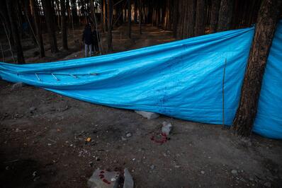 محل انفجار تروریستی کرمان گلباران شد