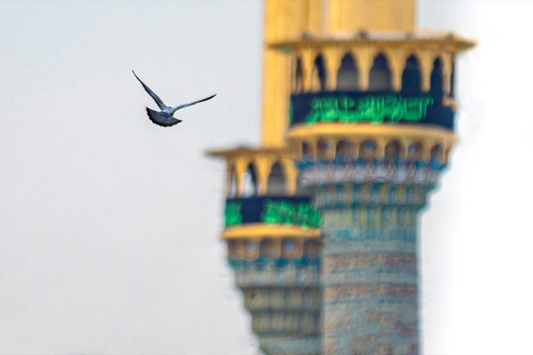 کاظمین در سوگ شهادت امام کاظم(ع)