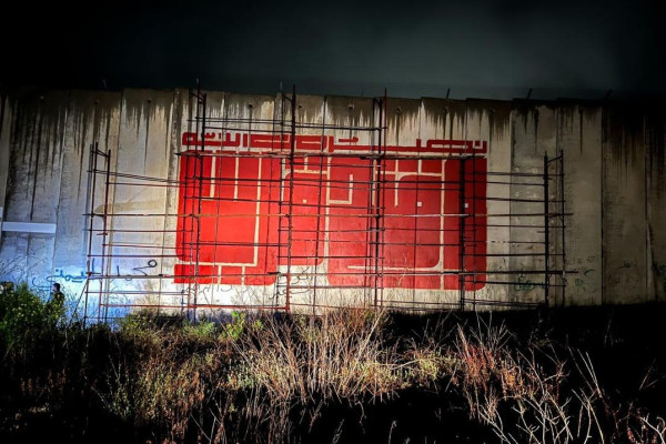 جداريات من أجل فلسطين